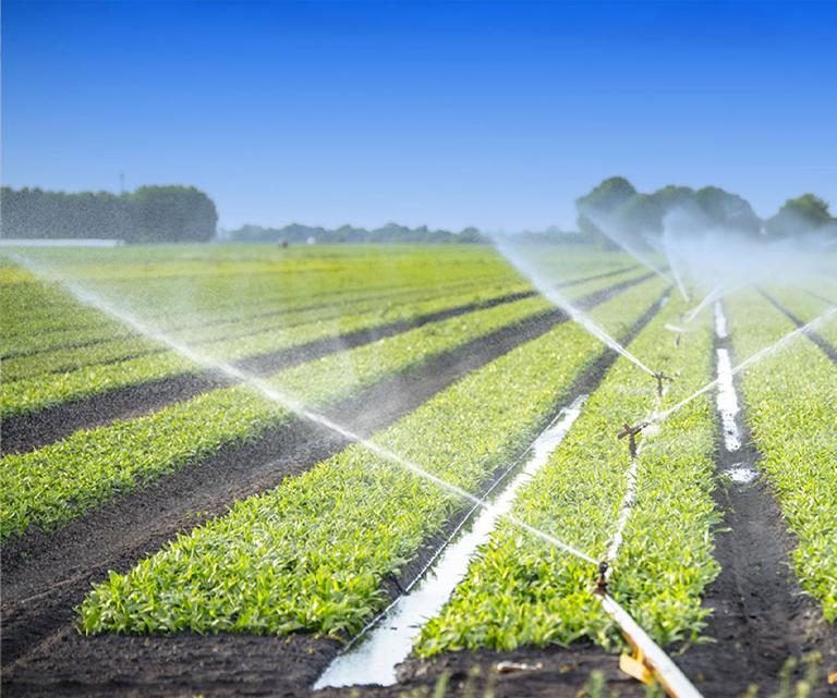 농업 화재 예방