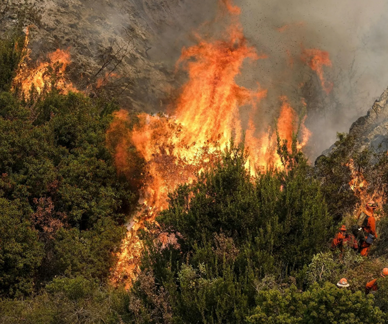 임업 화재 예방
